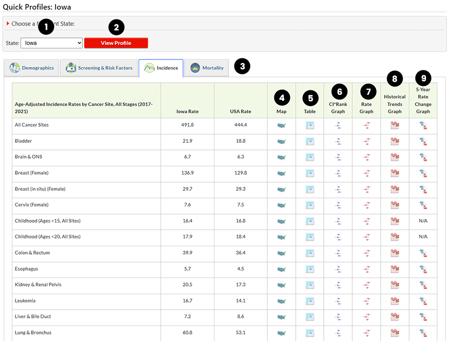 section of Quick Profiles Report showing text descriptions of controls