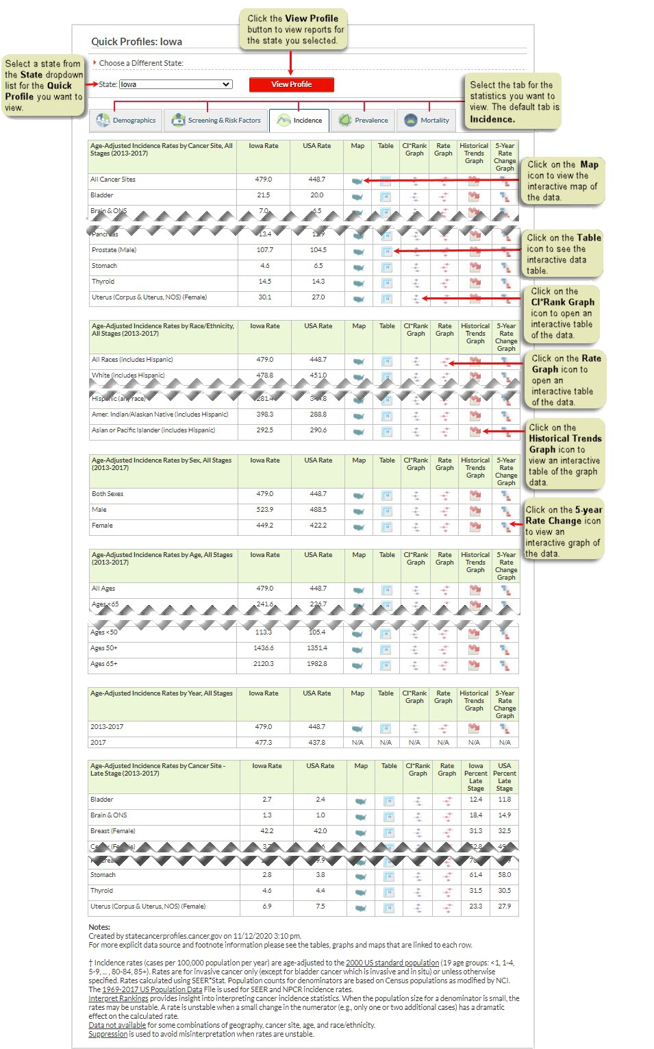 section of Quick Profiles Report showing text descriptions of controls